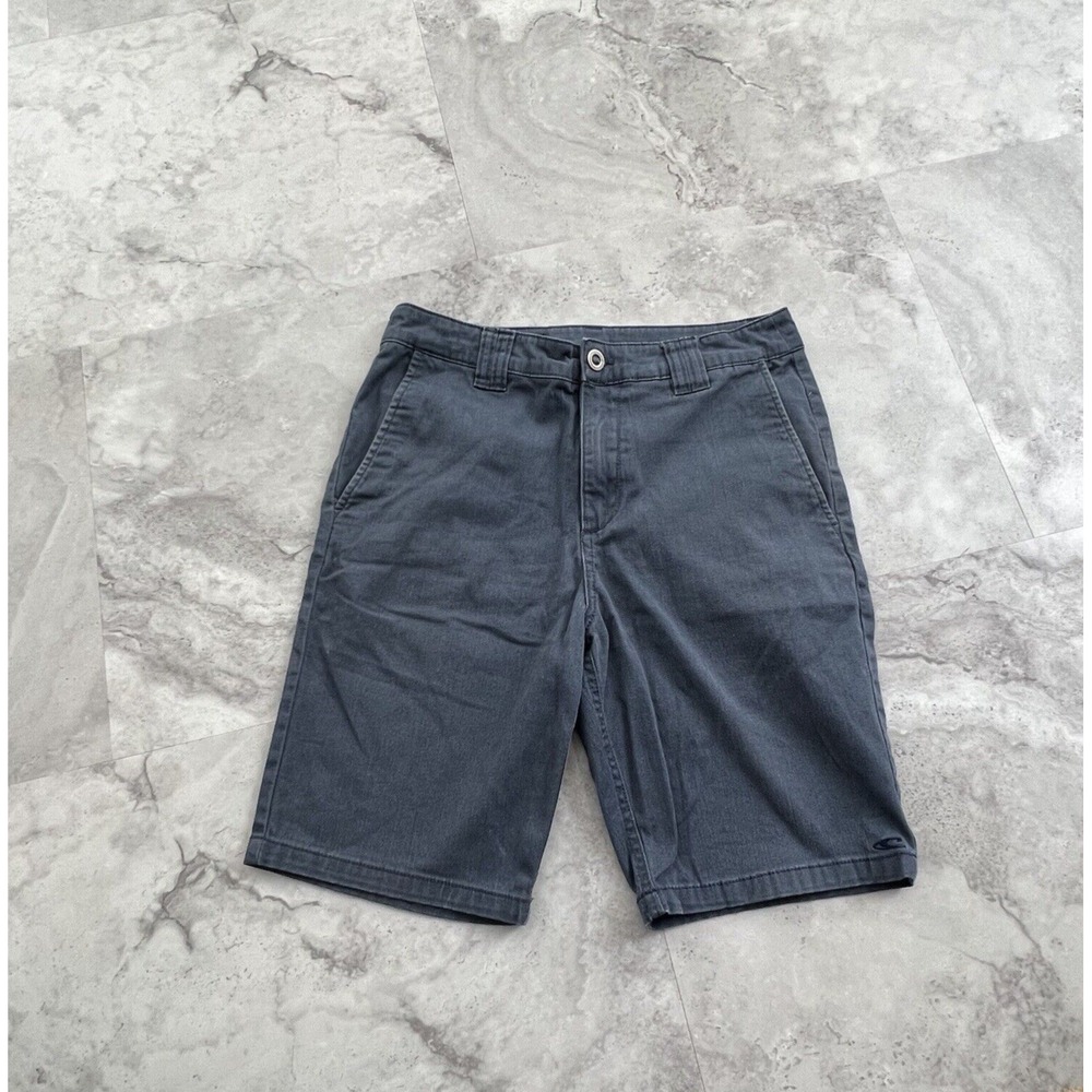 O'Neill Blue Standard Fit Mens Shorts size 30 Flat Front Regular Surfer Skater